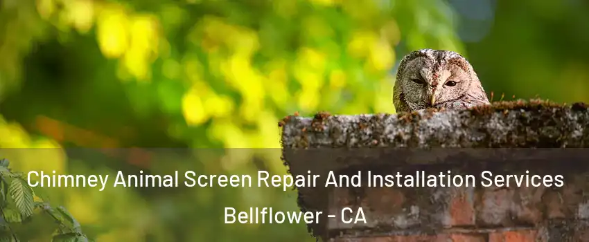  Chimney Animal Screen Repair And Installation Services Bellflower - CA