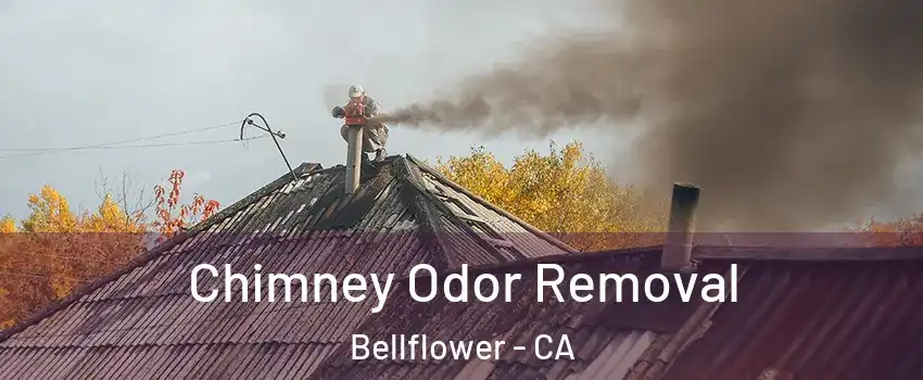  Chimney Odor Removal Bellflower - CA