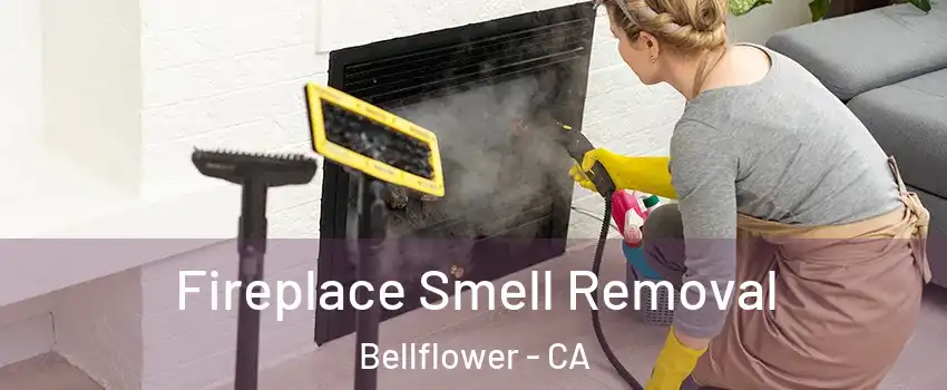 Fireplace Smell Removal Bellflower - CA