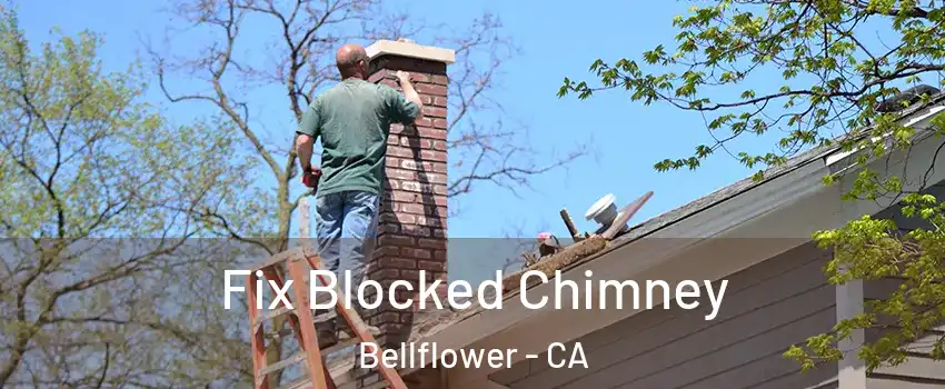  Fix Blocked Chimney Bellflower - CA