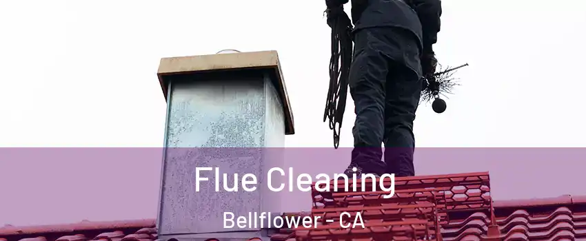  Flue Cleaning Bellflower - CA