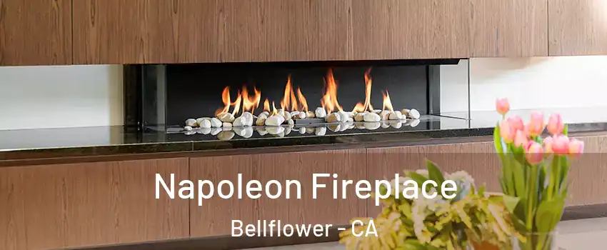  Napoleon Fireplace Bellflower - CA